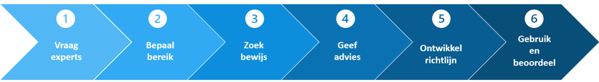 stappen richtlijn opstellen.png