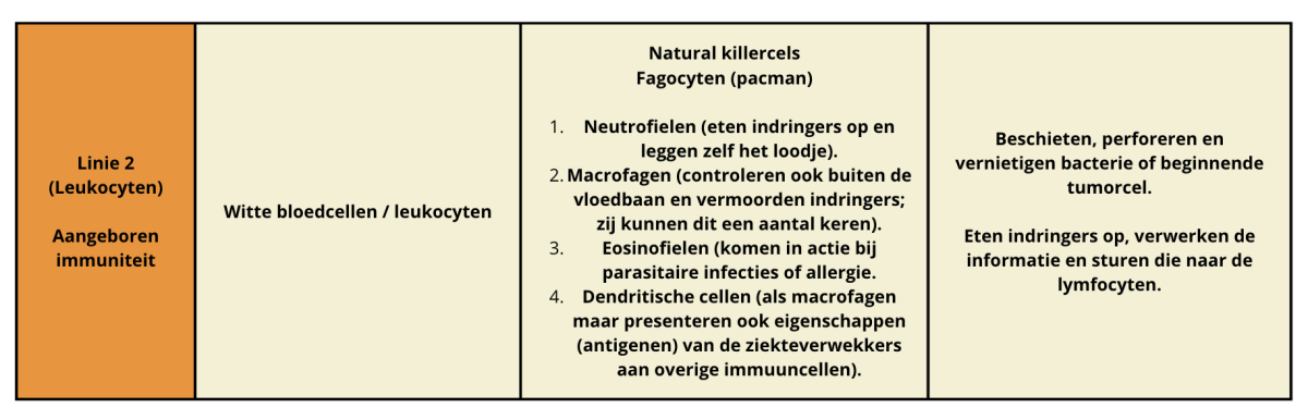 Vervangende afbeelding