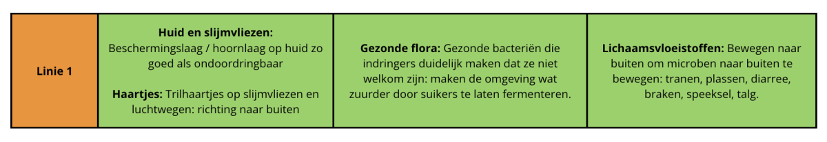 Vervangende afbeelding